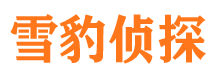 团风市私家侦探